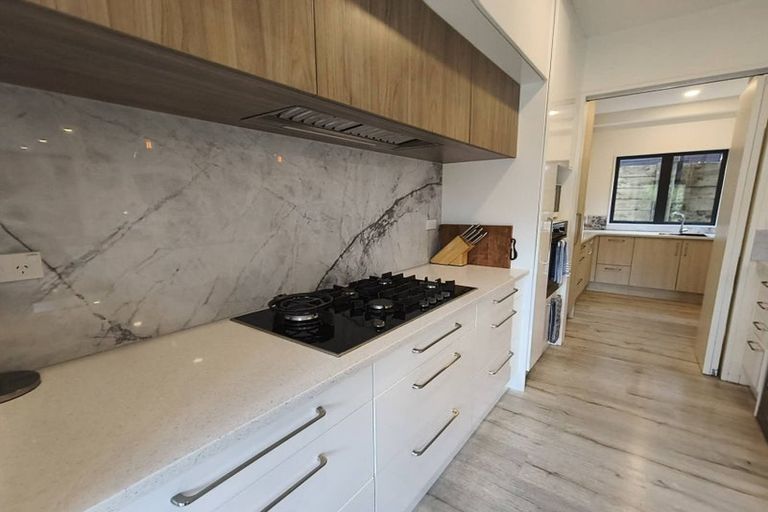 Photo of property in 126 Foley Quarry Road, Dairy Flat, Albany, 0792