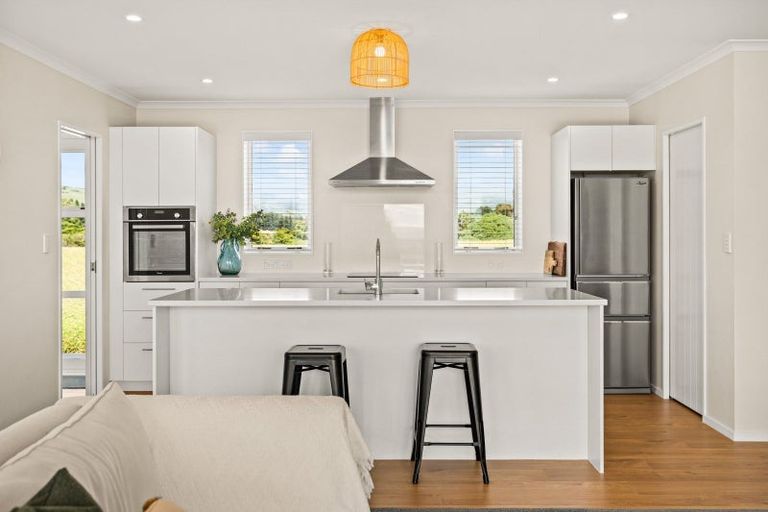 Photo of property in 117e Ruakokoputuna Road, Ruakokoputuna, Martinborough, 5781