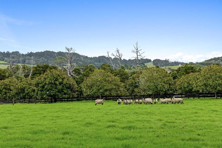 Photo of property in 23 Rosemount Road, Matakana, Warkworth, 0985