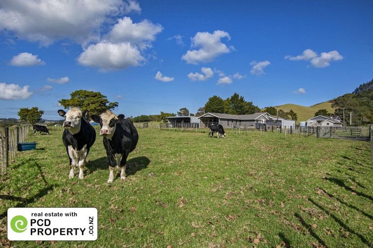 Photo of property in 243 Harris Road, Glenbervie, Whangarei, 0175