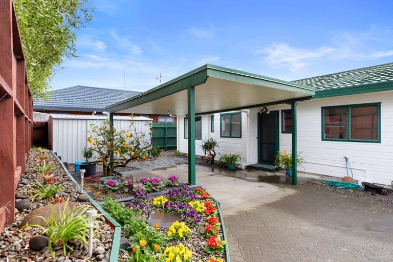 Photo of property in 591b Maunganui Road, Mount Maunganui, 3116