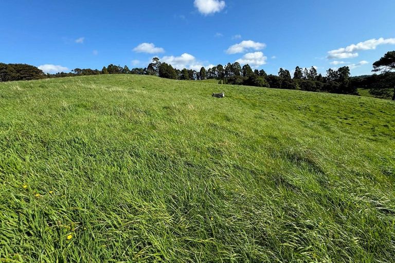 Photo of property in 208 Sunnyside Road, Coatesville, Albany, 0793