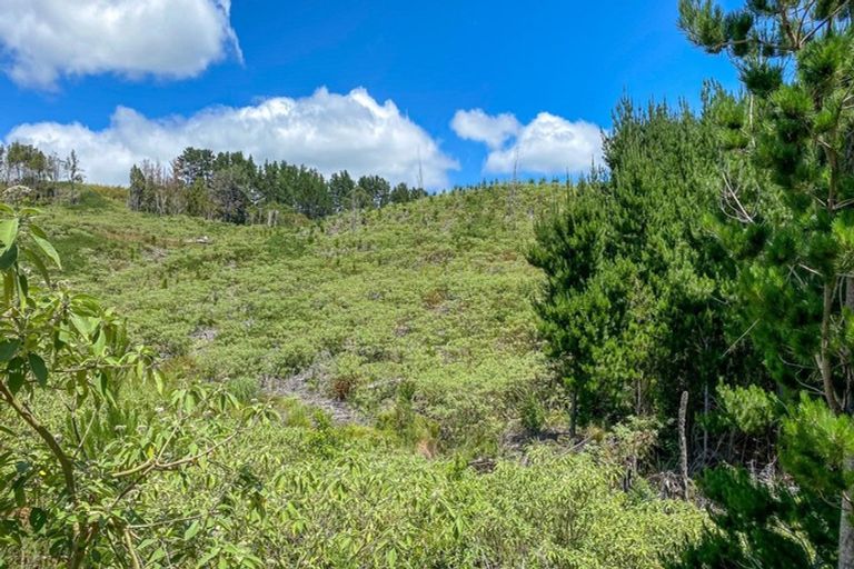 Photo of property in 425m Boat Harbour Road, Whenuakite, Whitianga, 3591