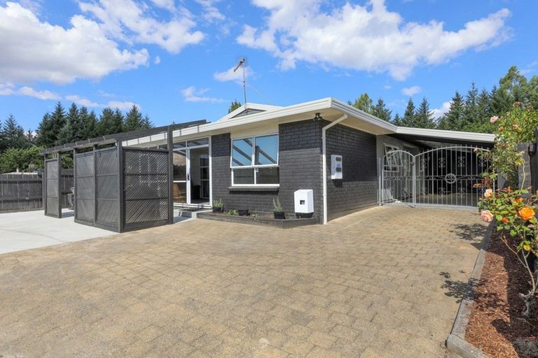 Photo of property in 86a Tihi Road, Springfield, Rotorua, 3015