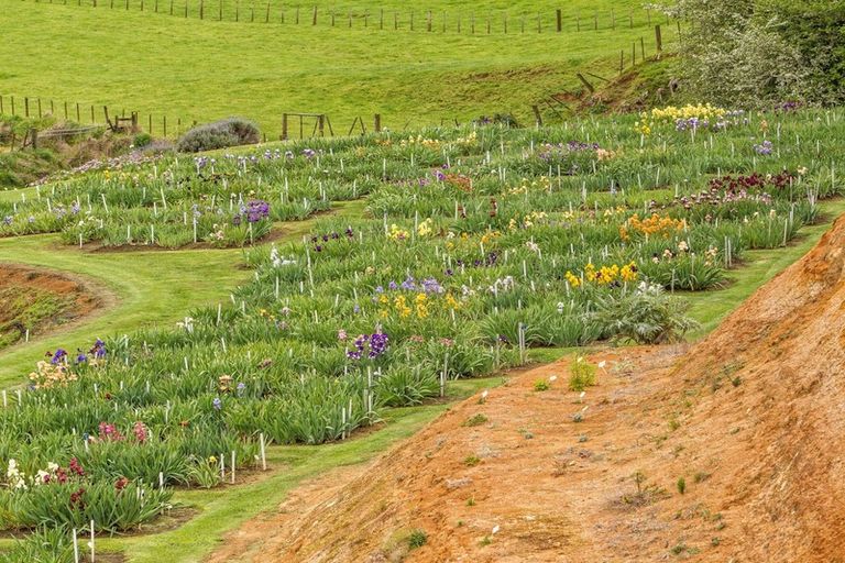 Photo of property in 138 Walford Road, Aongatete, Katikati, 3181