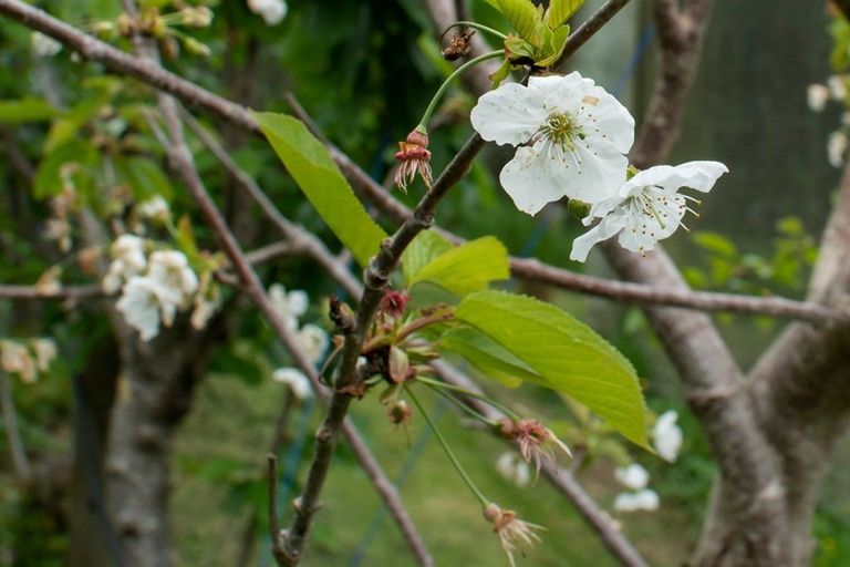 Photo of property in 297d Ross Road, Whakamarama, Tauranga, 3179