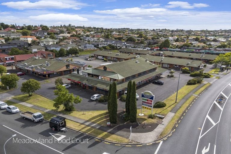 Photo of property in 75 Meadowland Drive, Somerville, Auckland, 2014