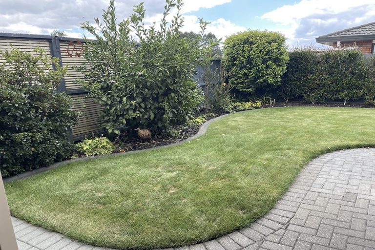 Photo of property in 81 Rimuvale Street, Pukehangi, Rotorua, 3015