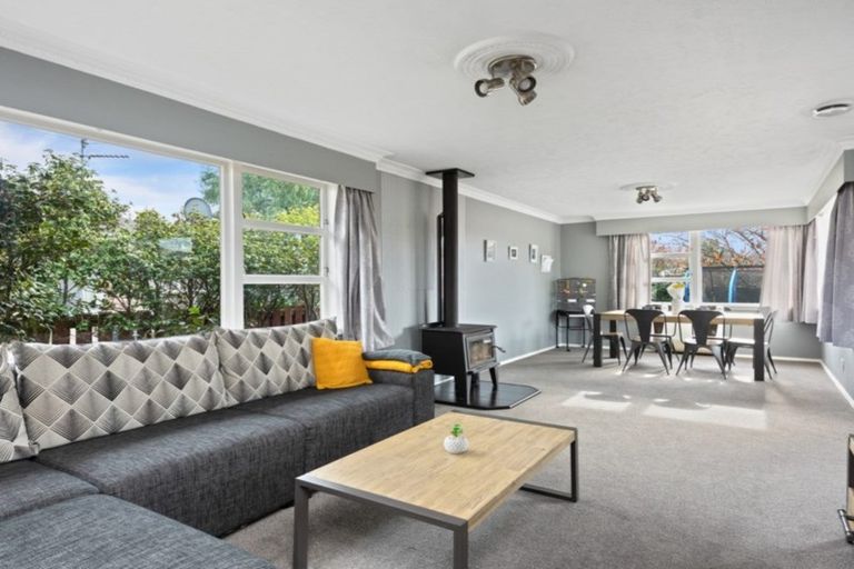 Photo of property in 91 Alabama Road, Redwoodtown, Blenheim, 7201