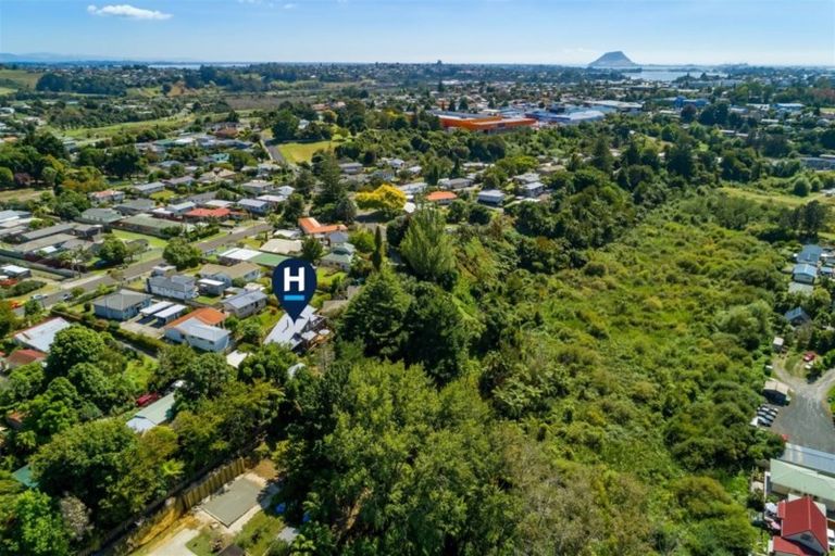 Photo of property in 16 Greerton Road, Gate Pa, Tauranga, 3112