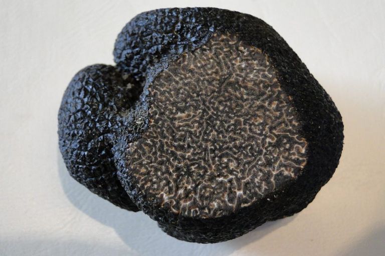 Photo of property in Heritage, 1420 Matapiro Road, Crownthorpe, Hastings, 4179