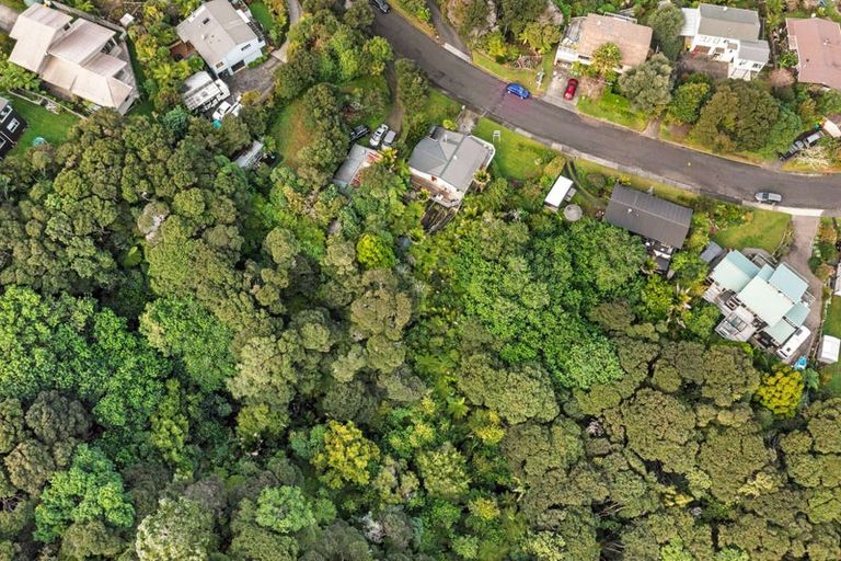 Photo of property in 24 Punga Place, Whitianga, 3510