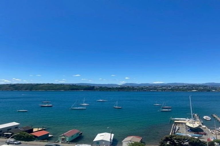 Photo of property in 43 Belvedere Road, Hataitai, Wellington, 6021