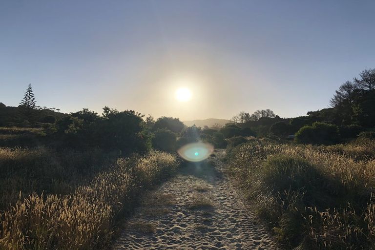 Photo of property in 762 Ohui Road, Opoutere, Whangamata, 3691