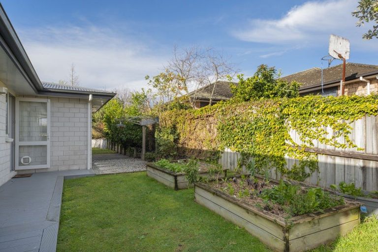 Photo of property in 1 Landing Drive, Pyes Pa, Tauranga, 3112