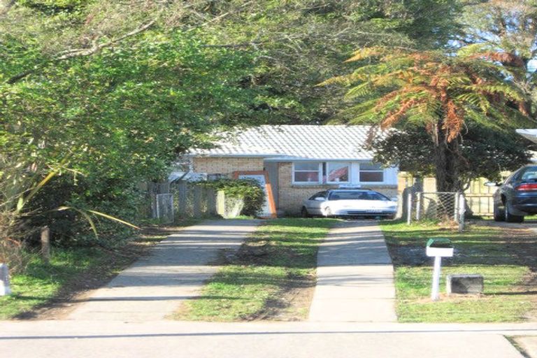 Photo of property in 69 Winstone Avenue, Chartwell, Hamilton, 3210