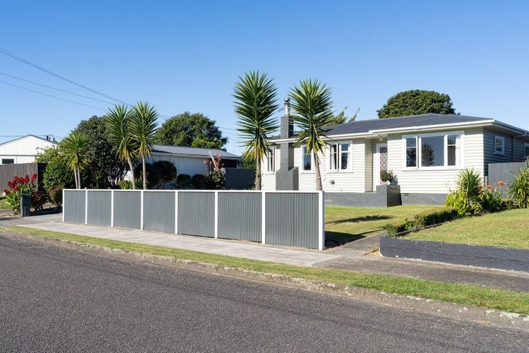 Photo of property in 14 Tawa Street, Levin, 5510