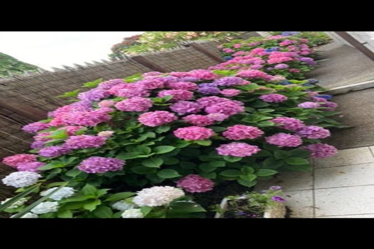 Photo of property in 7a Torkar Road, Clarks Beach, 2122