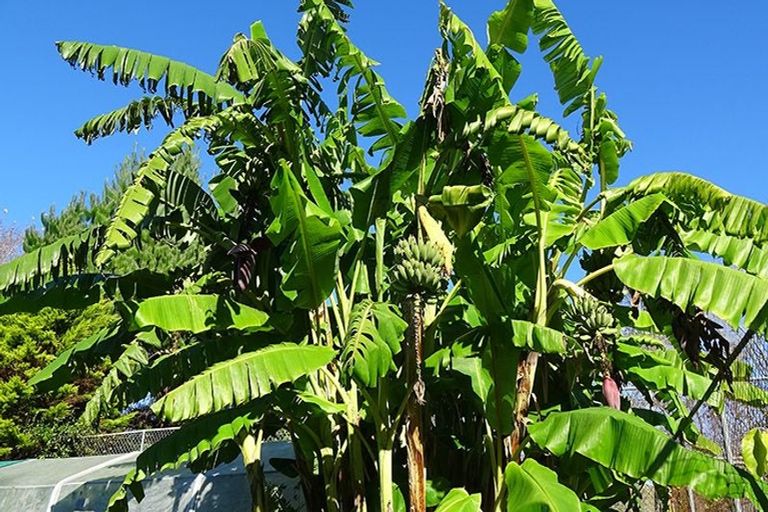 Photo of property in 46 Ruapapa Road, Frasertown, Wairoa, 4195