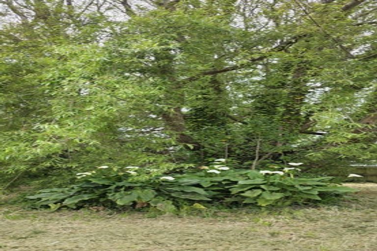 Photo of property in 86 Rangiuru Road, Otaki Beach, Otaki, 5512