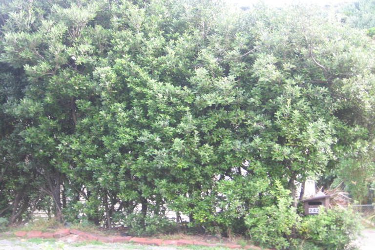 Photo of property in 242 Houghton Bay Road, Houghton Bay, Wellington, 6023