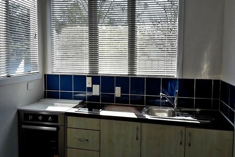 Photo of property in 77 Riverpark Crescent, Henderson, Auckland, 0610