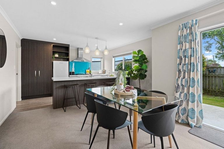 Photo of property in 77 Dublin Street, Martinborough, 5711