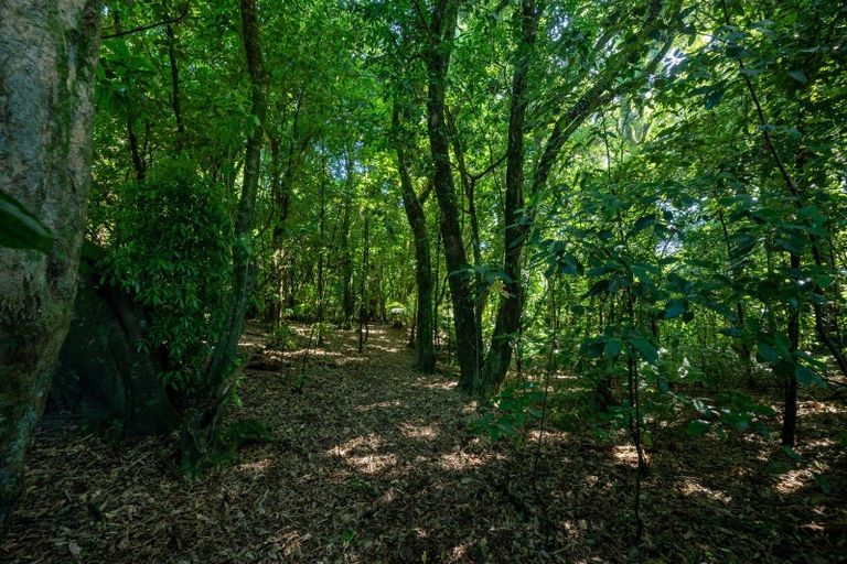 Photo of property in 691 Te Waerenga Road, Hamurana, Rotorua, 3096