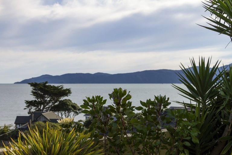 Photo of property in 1 The Palms, Raumati Beach, Paraparaumu, 5032