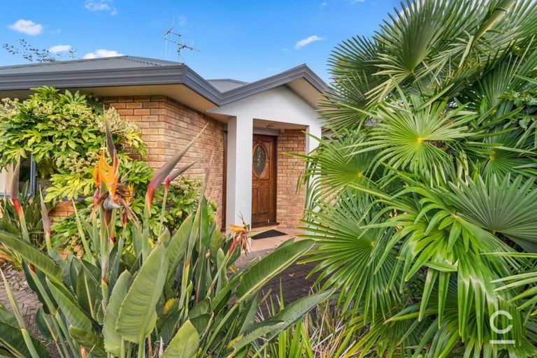 Photo of property in 85 Sterling Gate Drive, Bethlehem, Tauranga, 3110