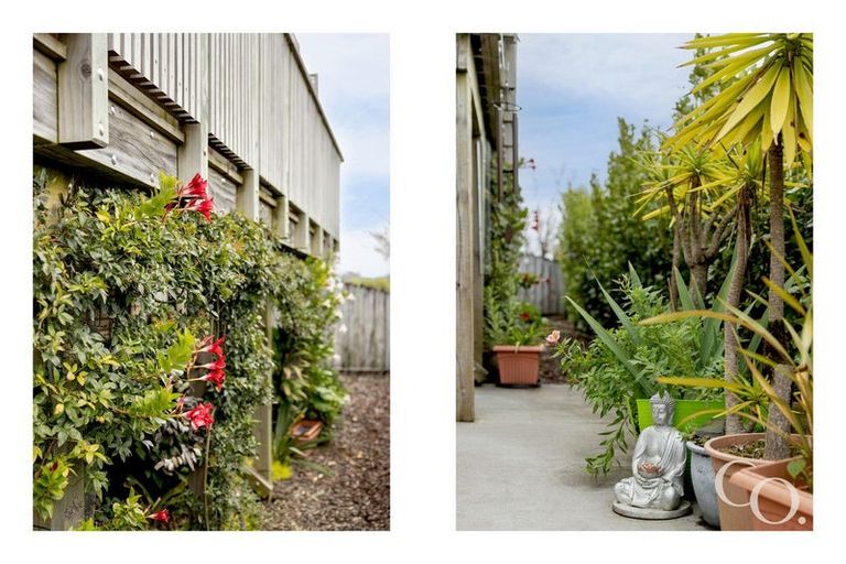 Photo of property in 30a Jonathon Street, Brookfield, Tauranga, 3110