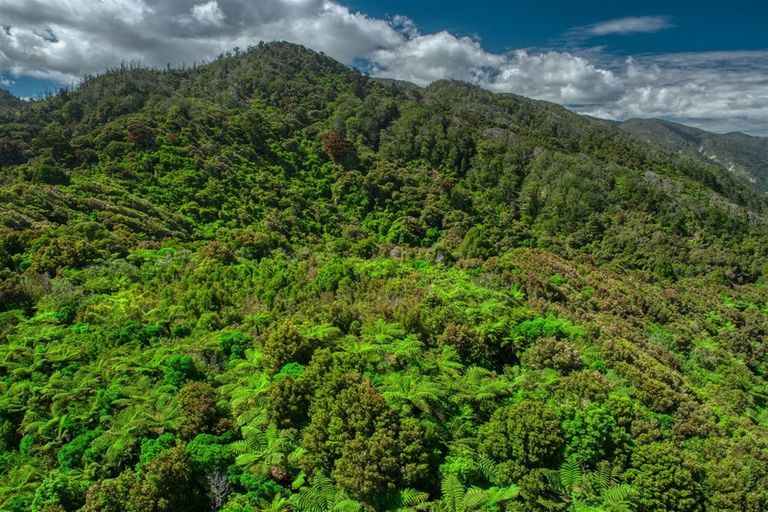 Photo of property in 3094 Coast Road, Barrytown, Runanga, 7873