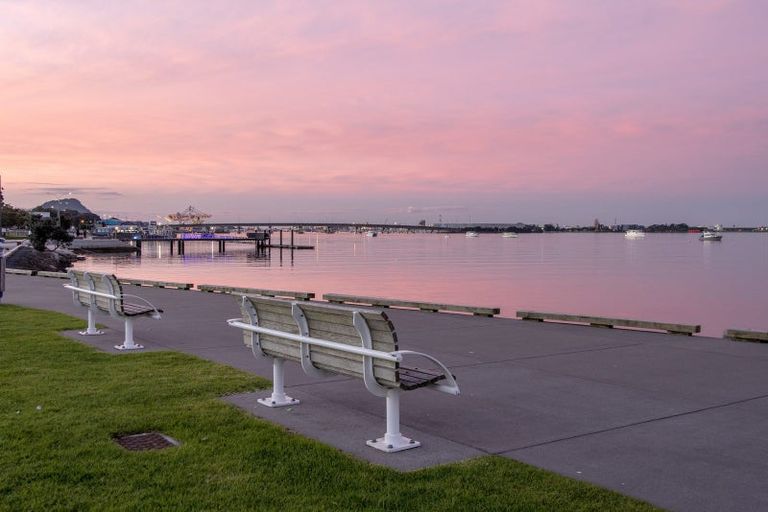 Photo of property in 1/6d Durham Street, Tauranga, 3110