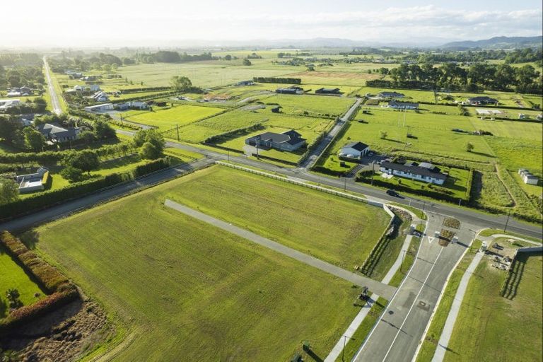 Photo of property in 4 Allan Avenue, Makauri, 4071