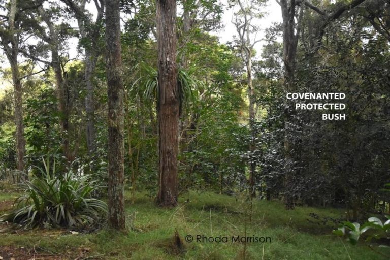 Photo of property in 196 Metcalfe Road, Matakohe, 0593