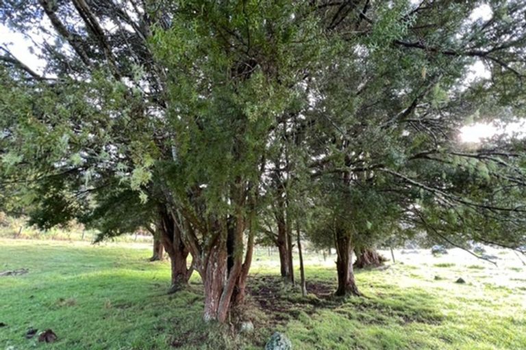 Photo of property in 20 Mangamanihi Road, Kaeo, 0479