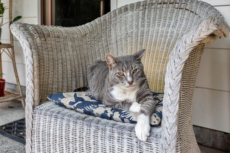 Photo of property in 94 One Tree Point Road, One Tree Point, 0118