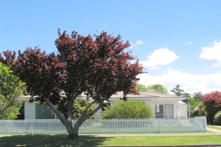 Photo of property in 132 Harris Street, Inner Kaiti, Gisborne, 4010