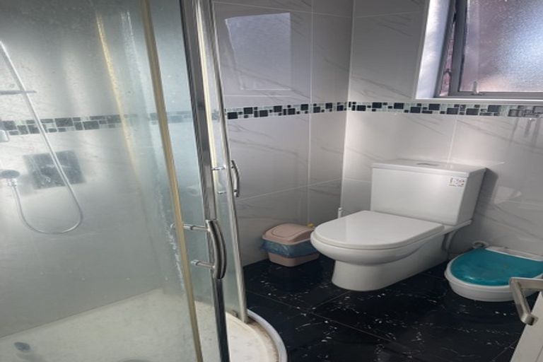 Photo of property in 91a Universal Drive, Henderson, Auckland, 0610