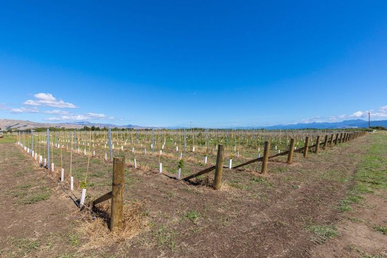 Photo of property in 365 Jones Road, Grovetown, Blenheim, 7273