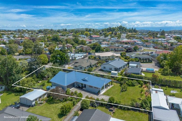 Photo of property in 6 Albert Street, Waipukurau, 4200