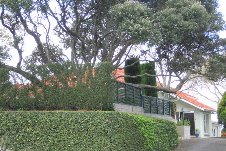 Photo of property in 153 Otumoetai Road, Brookfield, Tauranga, 3110