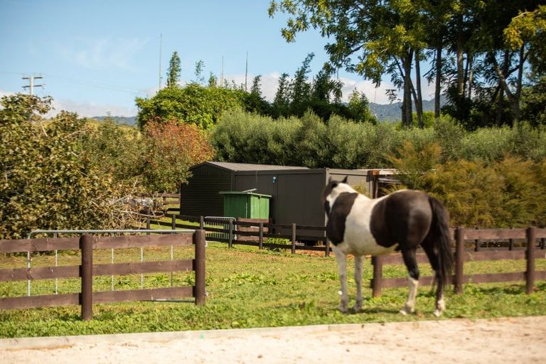 Photo of property in 126 Willoughby Road, Tahawai, Katikati, 3170