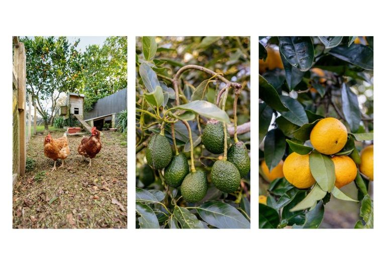 Photo of property in 8 Lochinvar Place, Hairini, Tauranga, 3112