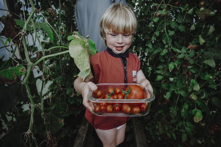 Photo of property in 17 Pekanga Drive, Fox Glacier, 7886