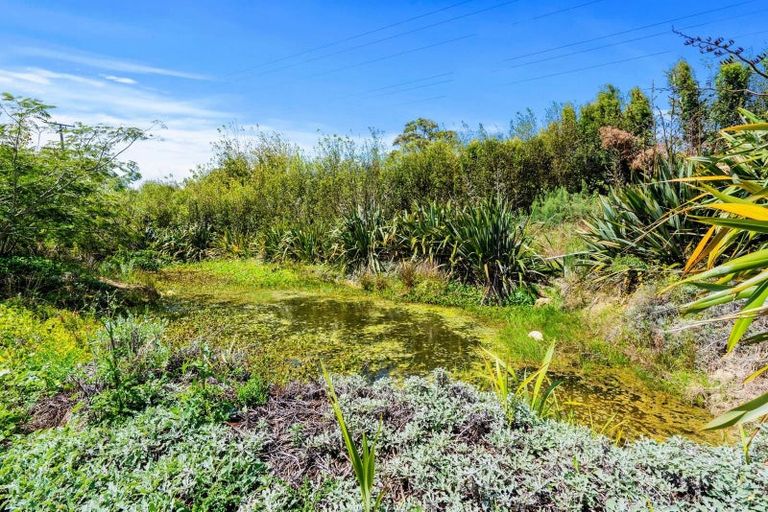 Photo of property in 267 Hartnell Road, Waiotira, 0193