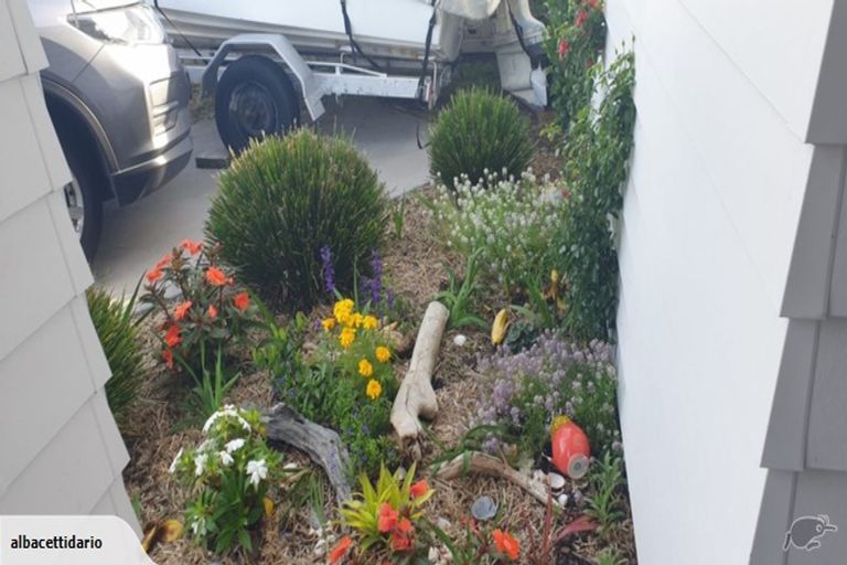 Photo of property in 5 Boyle Mews, Papamoa Beach, Papamoa, 3118