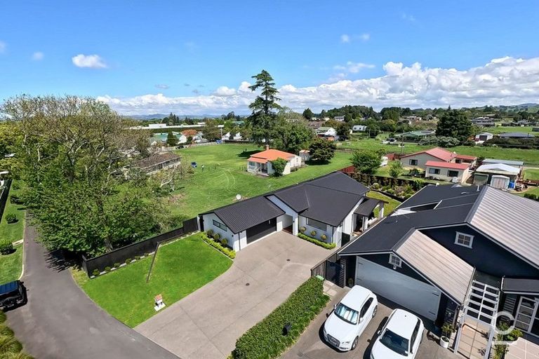 Photo of property in 91 Carmichael Road, Bethlehem, Tauranga, 3110