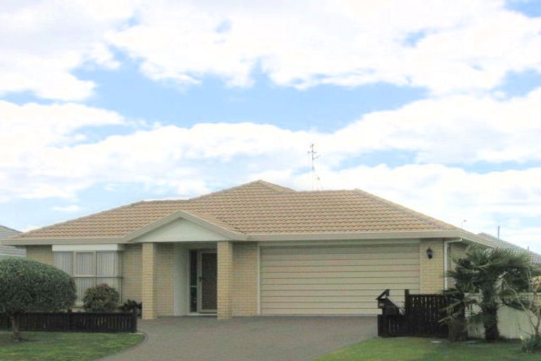 Photo of property in 223 Gloucester Road, Mount Maunganui, 3116