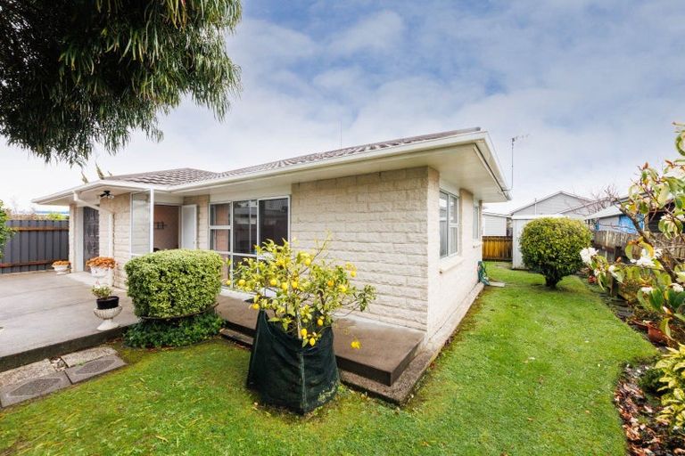 Photo of property in 50a Burns Avenue, Takaro, Palmerston North, 4412